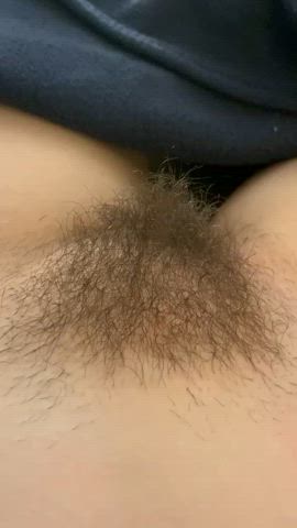 hairy hairy pussy onlyfans pubic hair gif