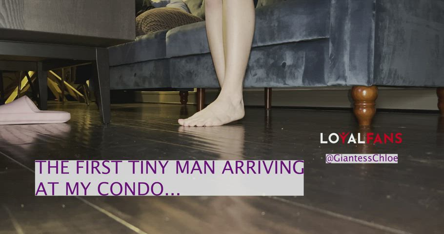 Free Loyalfans Video!! Tiny man POV. These tiny guys are moving into my condo so