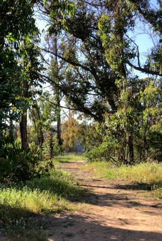 Naked on the public trail