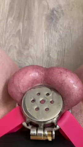 anal play orgasm sissy slut gif