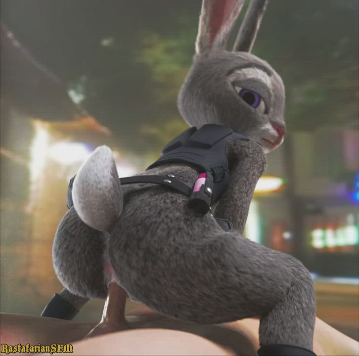 Animation Bunny Riding gif