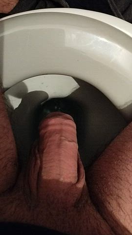 cock pee peeing penis gif