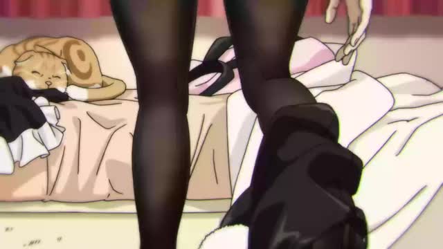 Miru Tights - 02-8