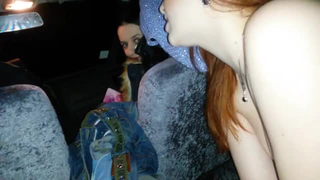 Girlfriend Sucking Dick On The Back Seat On Road Trip [Gif]