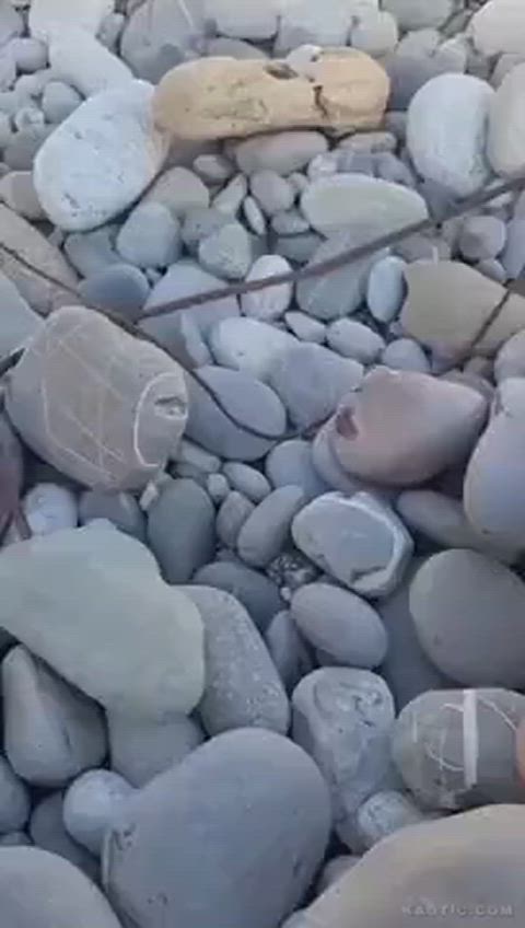 Threesome on a rocky beach