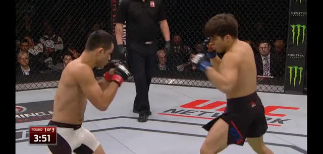 Cejudo |Formiga| Crash w/ power | Collide