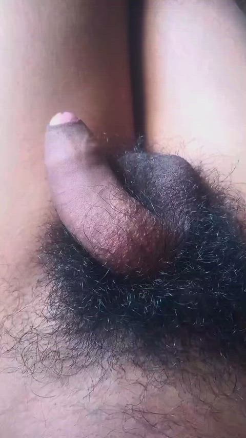18 years old asian cock cock cock worship curly hair hairy hairy cock uncircumcised