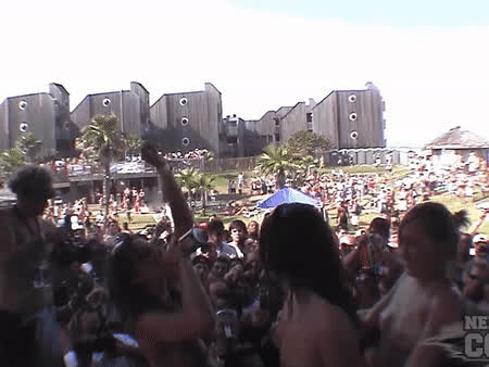 boobs coeds public spring break tits topless gif