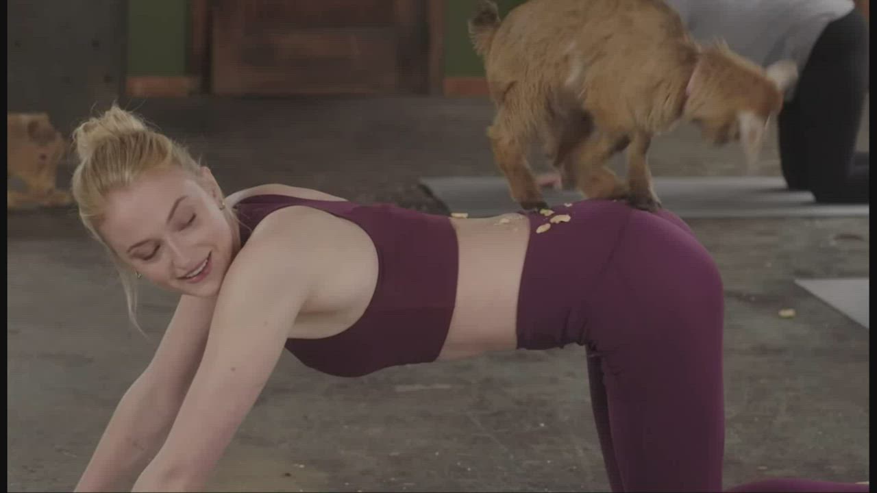 Ass Doggystyle Leggings Sophie Turner gif