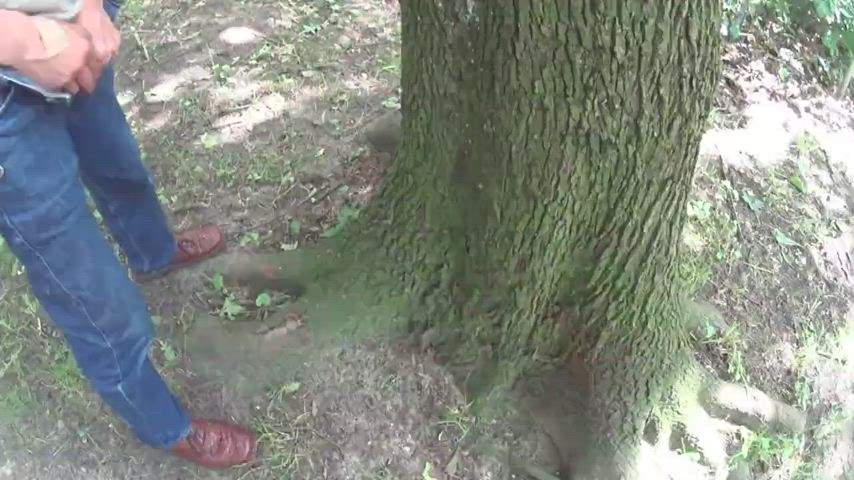 Two friends pissing together on a tree