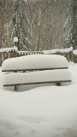 I leave my mark in the snow, so that you can find me easily [OC] [F]