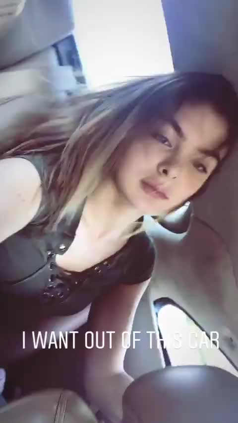 Brighton Sharbino