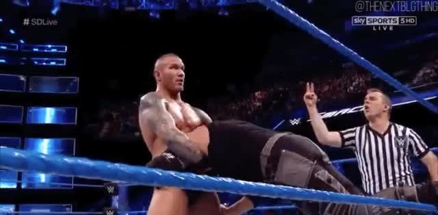 Randy Orton Ddt