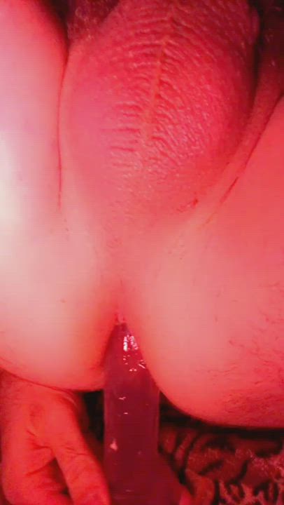 Anal Dildo Sissy gif