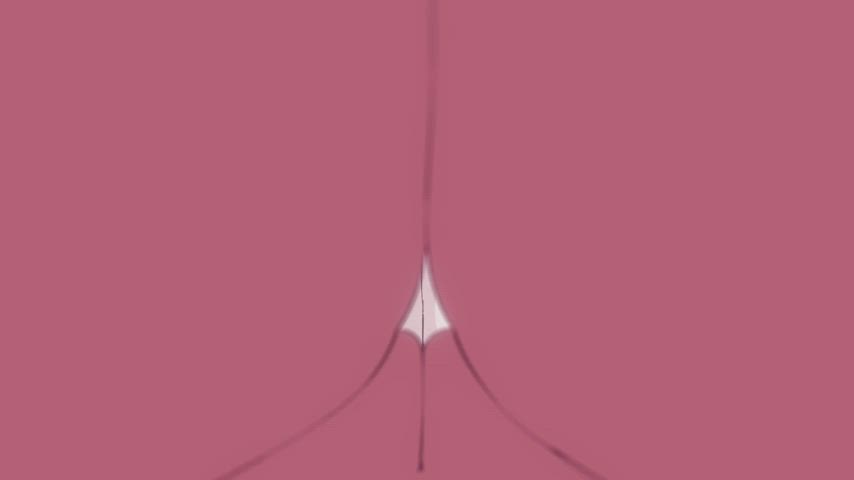 Animation Mirror Pussy gif