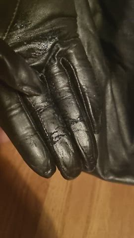 creamy leather wet pussy gif