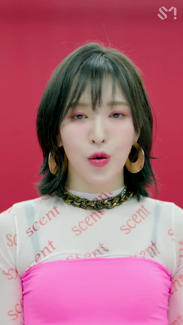 Red Velvet 레드벨벳 '짐살라빔 (Zimzalabim)' Vertical Video