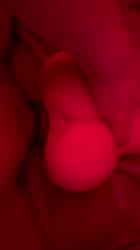 [29] [dick pic] maybe you could be next