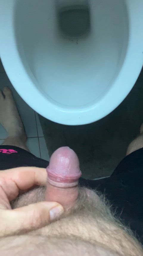 cock pissing toilet uncut gif