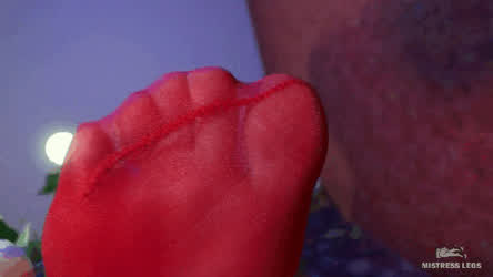 Feet Foot Fetish Mistress Nylons Soles Toes gif