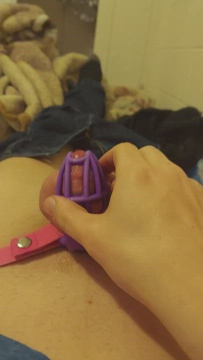 Chastity Femboy Sissy gif