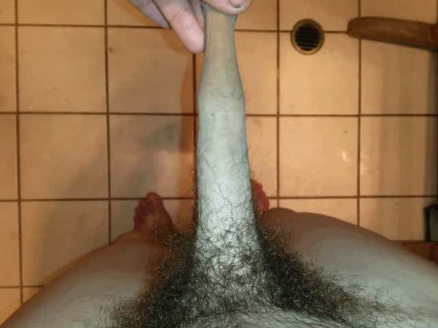 Big Dick Foreskin Penis Pubic Hair Trimmed gif