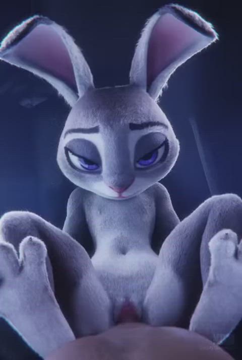 3d animation bunny missionary rule34 tight pussy gif