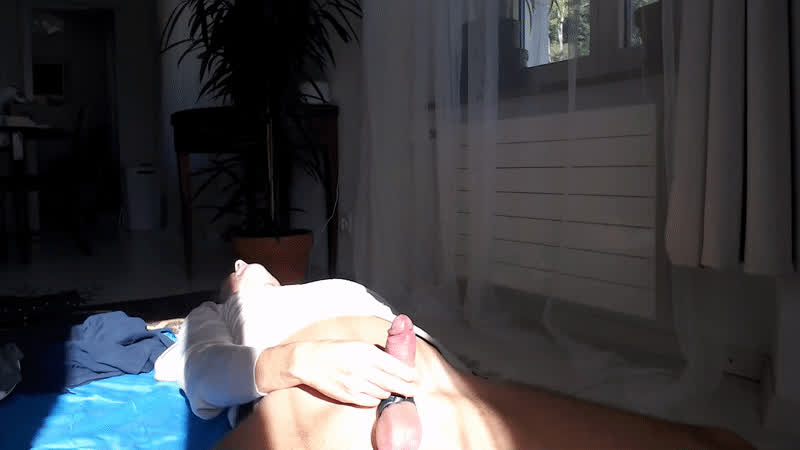 cumshot jerk off swiss gif