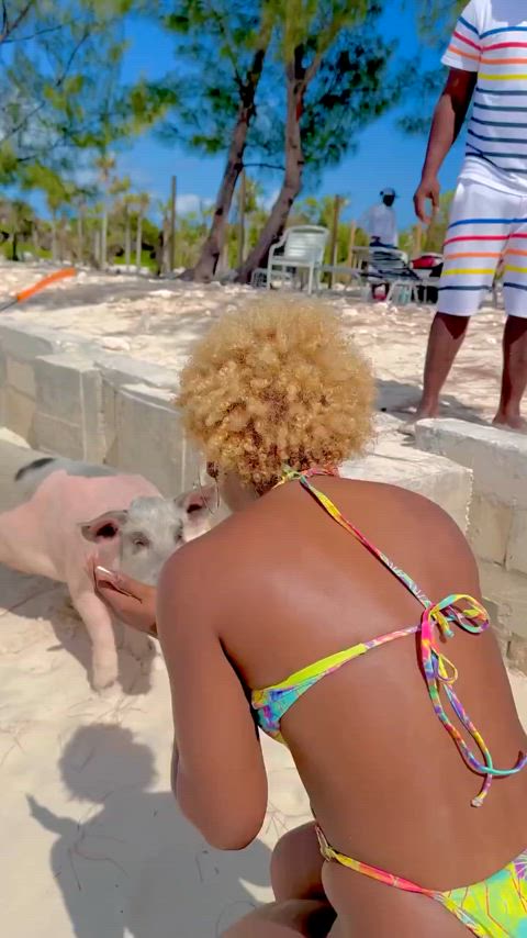 ass celebrity swimsuit gif