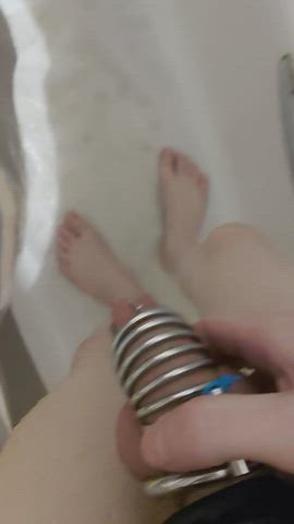 chastity piss sissy gif