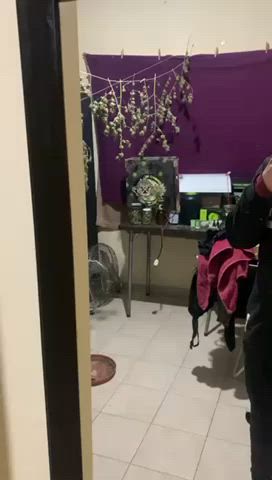 amateur cumshot cute gif