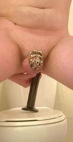 Anal Ass CBT Chastity Humiliation Naked Slave Strap On Toilet gif
