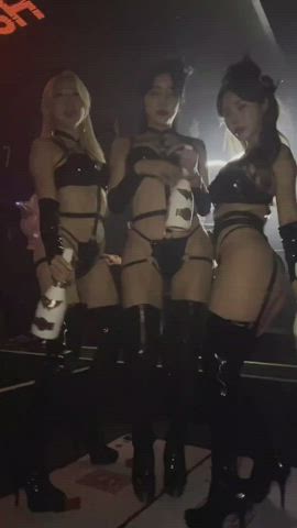 asian club dancing korean nightclub party tease teasing gif