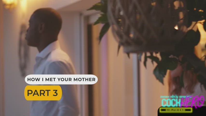 How I Met Your Mother - Part III [rCockheroGirlfriend191]
