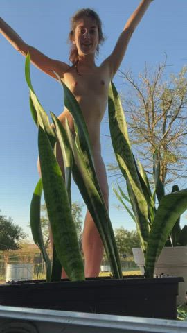 Dance break while repotting my snake plant