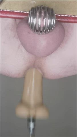 Anal Play Chastity Fuck Machine Male Masturbation gif