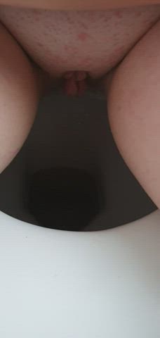 Pussy Pussy Lips Toilet gif