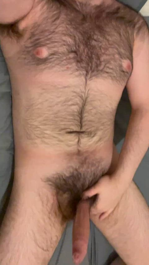 bear gay hairy gif