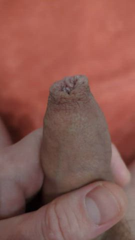 cock foreskin penis gif