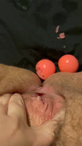 amateur hairy pussy oviposition gif