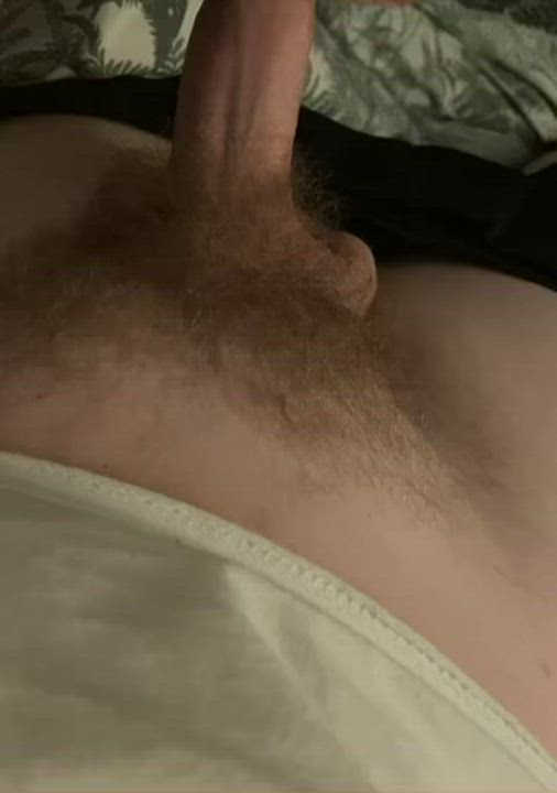 Big Dick Jerk Off Solo gif