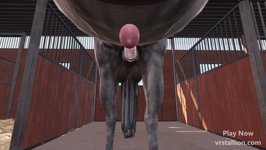 Cum Shower (VR Stallion Gameplay)