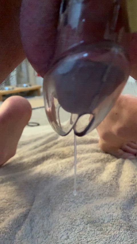 chastity cum dripping gay precum gif