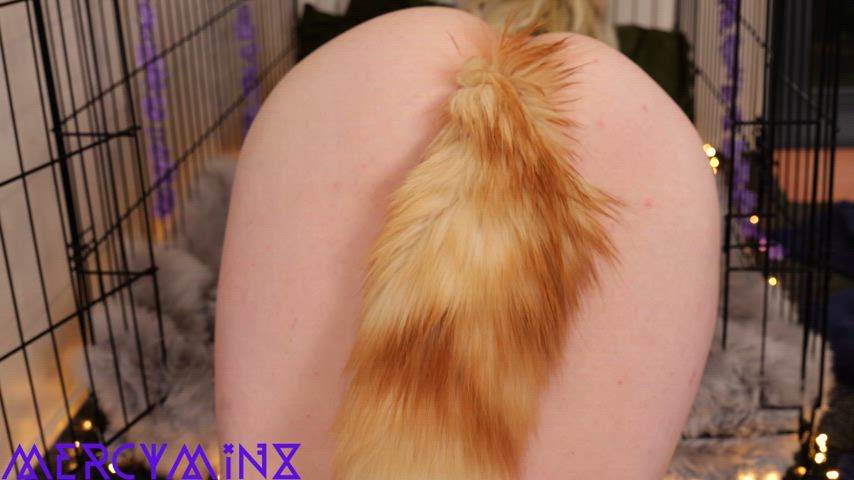 Not letting the tail hide my freshly bred pussy