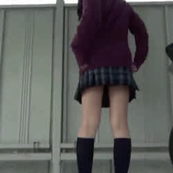 Japanese Schoolgirl Skirt Upskirt gif