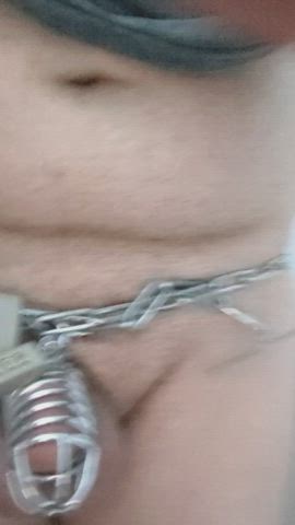Bondage Chastity Chastity Belt gif