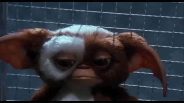 Scared Gizmo