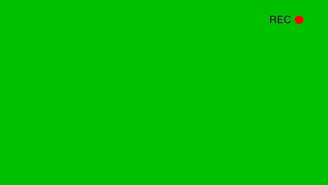 REC GreenScreen LGMODS