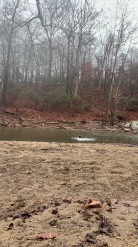 Crazy to think I could skinny dip on NYE in MD