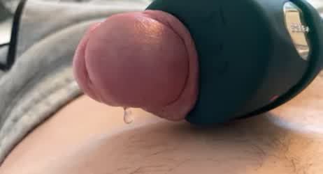 Cock Edging Penis Precum Toy gif